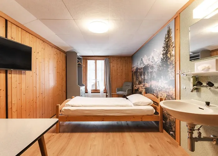 Baeren Mini-hôtel Habkern