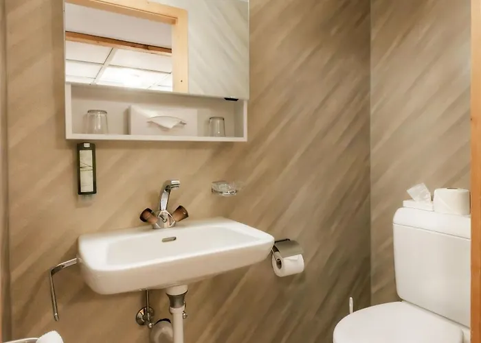 Mini-hôtel Baeren 3*